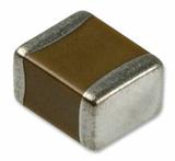 22205C106KAZ2A
