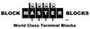 BlockMaster Electronics