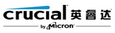 Crucial Technology