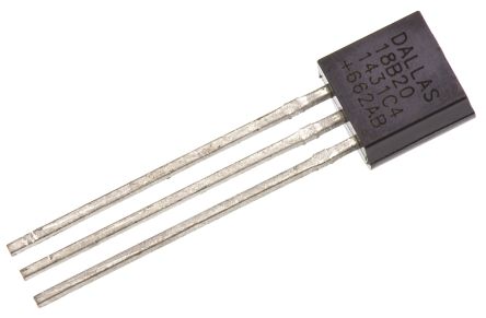 DS18B20+
