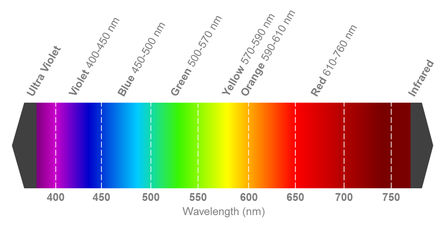 LNJ326W83RA1