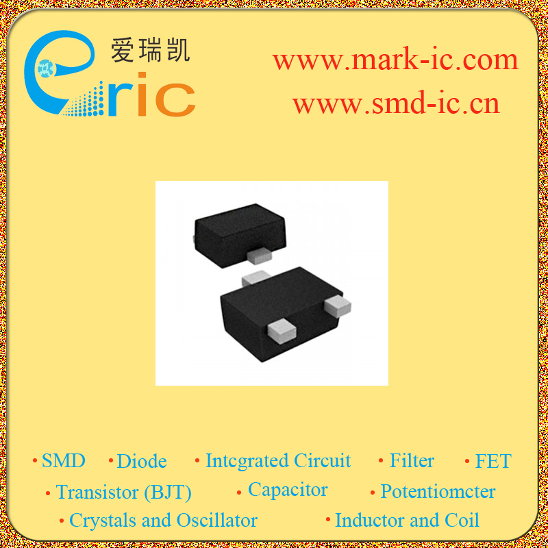 RN1106MFV